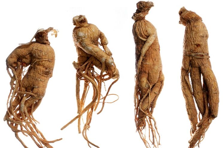 ginseng root to enlarge penis